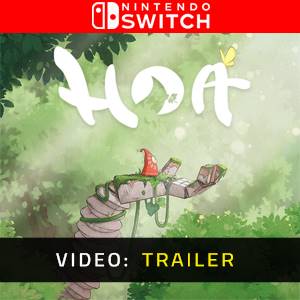 Hoa Nintendo Switch Video-opname