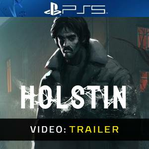 Holstin Playstation 5