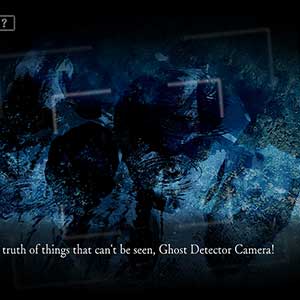 Howling Village Echoes Spookdetector Camera