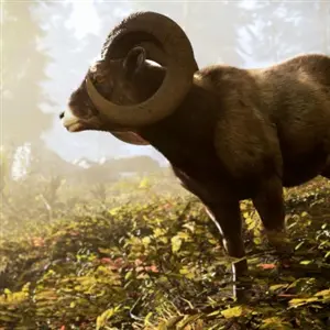 Hunting Simulator 3 - Dikhoornschaap