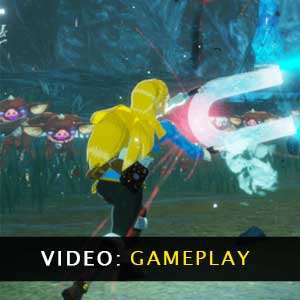 Hyrule Warriors Age of Calamity Video Gameplay