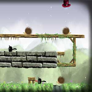 control two cats simultaneously