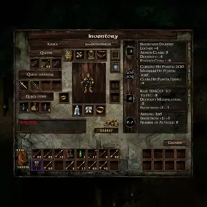 Icewind Dale: Enhanced Edition – Inventaris