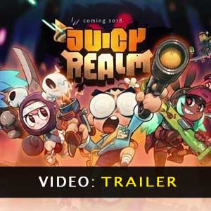 Koop Juicy Realm CD Key Goedkoop Vergelijk de Prijzen