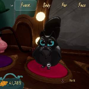 Jumping Jazz Cats - Jazzkat Starterspakket