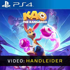 Kao the Kangaroo PS4 Video-opname