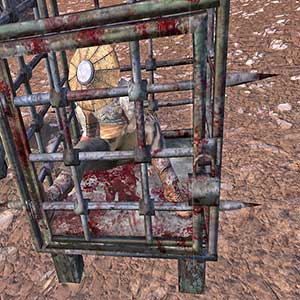 Kenshi - Snavel Ding