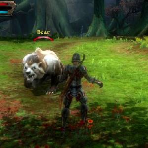 Kingdoms of Amalur Reckoning - Beer