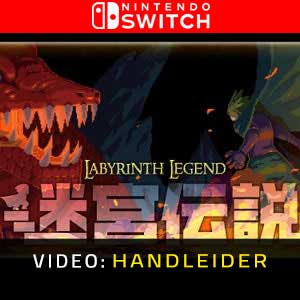 Labyrinth Legend Nintendo Switch- Trailer