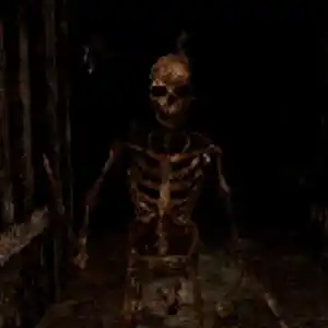 Labyrinth Of The Demon King - Skelet