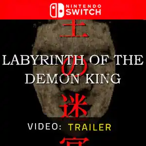Labyrinth Of The Demon King Nintendo Switch - Video Trailer