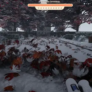 Leaf Blower Oprit van het Landhuis