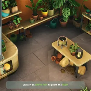 Leafy Corner - Planten