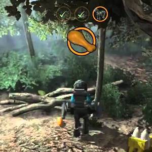 Lego Harry Potter Years 5-7 - Kip Consumeren