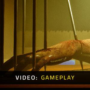 Lil Doll House - Gameplayvideo