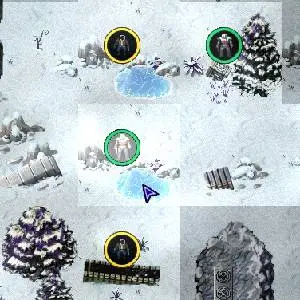 Link - Sneeuwwijzig Terrein