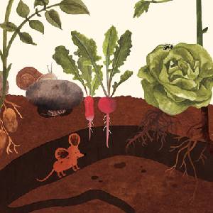 Little Mouse's Encyclopedia - Ondergronds