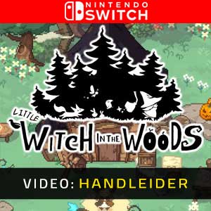 Little Witch in the Woods Nintendo Switch Video-opname