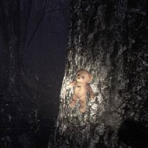 Locked Up - Teddybeer