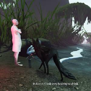 Lost Ember - Drinken