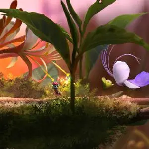 Mari and Bayu - The Road Home - Plant