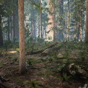 Medieval Apocalypse - Bossen