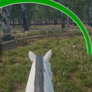 Medieval Horse Dealer Simulator - Rijpaard