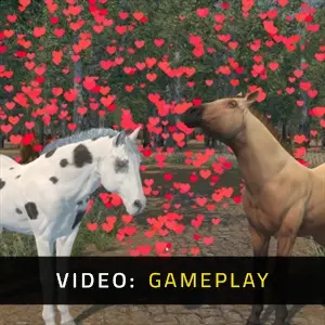 Medieval Horse Dealer Simulator - Gameplay