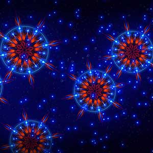 Microcosmum Survival of Cells - 6 cellen