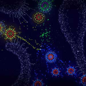 Microcosmum Survival of Cells - 10 Cellen en 3 Bacteriën