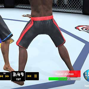 traditional striking martial arts