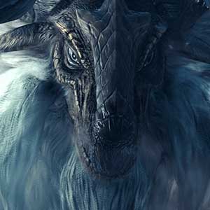 unforgettable adventure