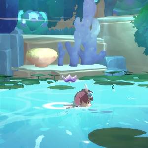 Muri: WildWoods - Zwemmen