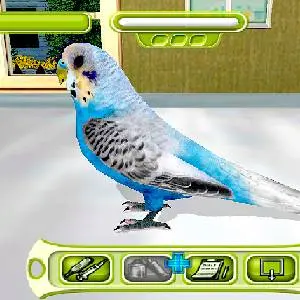 My Vet Practice - Parkiet