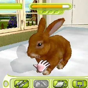 My Vet Practice - Konijn