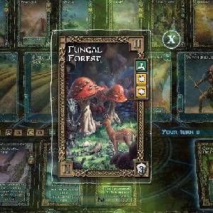 Mystic Vale - Fungusbos