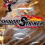 Naruto to Boruto Shinobi Striker Out Now!
