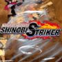 Naruto to Boruto Shinobi Striker Out Now!