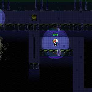 gemaskerde burgerwacht