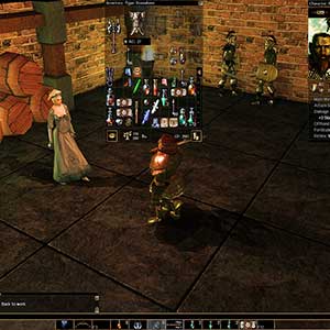 Neverwinter Nights Enhanced Edition - Winkel
