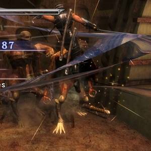 NINJA GAIDEN Master Collection - Vaardigheid