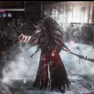 Nioh 2 Remastered Suiki