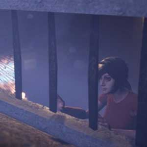 vrije vogels vliegen