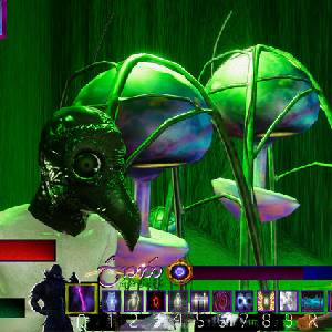 Old Shadow - Paddestoelen