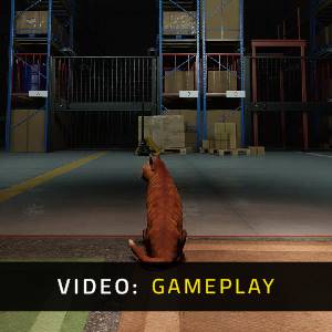 ORDER 13 - Gameplay Video