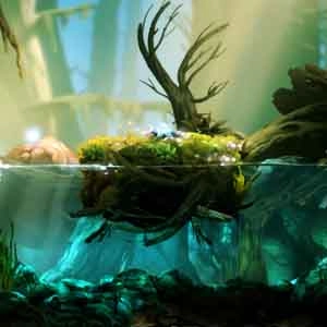 Ori and the Blind Forest - Drijvend op het Water