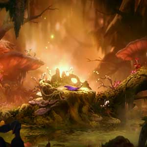 Ori and the Will of the Wisps - Bronnenrijke open plekken
