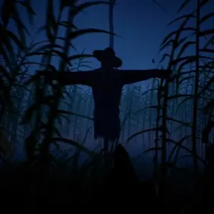 Outfield - Vogelverschrikker