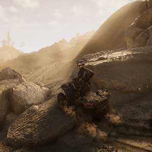 unique characteristics