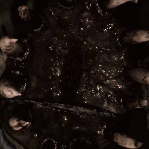 Oxide Room 208 – Wezen